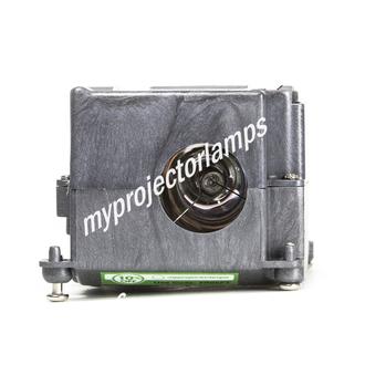 U3-130 Projector Replacement Lamp for EIZO IX421M