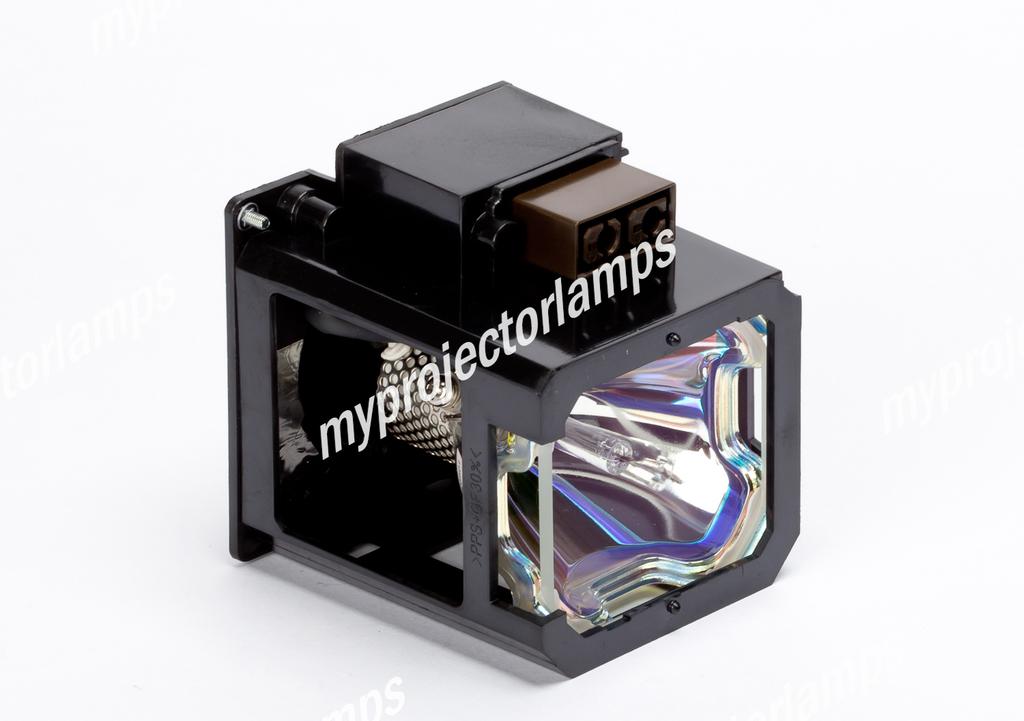 GOLDENRIVER LU-12VPS3 Replacement Projector Lamp with Housing Compatible with Marantz VP-12U1M VP-11S1 VP-11S1BL VP-11S2 VP-12S3 VP-12S4 VP- Projector Screen Pull Down SCREENMAX Outdoor Projector Screen With