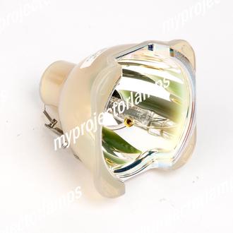 BL-FU200C SP.86J01GC01 Replacement lamp W//Housing for OPTOMA CP705//DS302//DS303