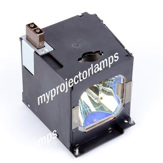 for Sharp PG-D50X3D Projector Lamp Replacement Assembly with Genuine Original OEM Phoenix SHP Bulb Inside IET Lamps
