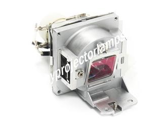 Genuine OEM Replacement Lamp for VIEWSONIC PX702HD Projector IET Lamps with 1 Year Warranty