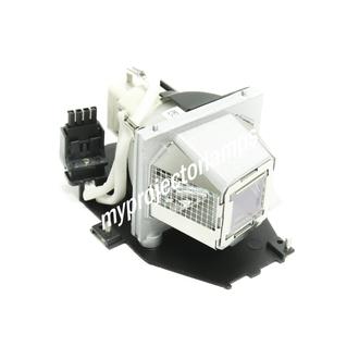 Optoma Theme-S HD640 Projector Brand New Projector Bulb