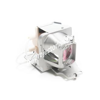 Includes Lamp and Housing Replacement Lamp Module for Optoma EP749 TX800 DX205 DX733 Projectors